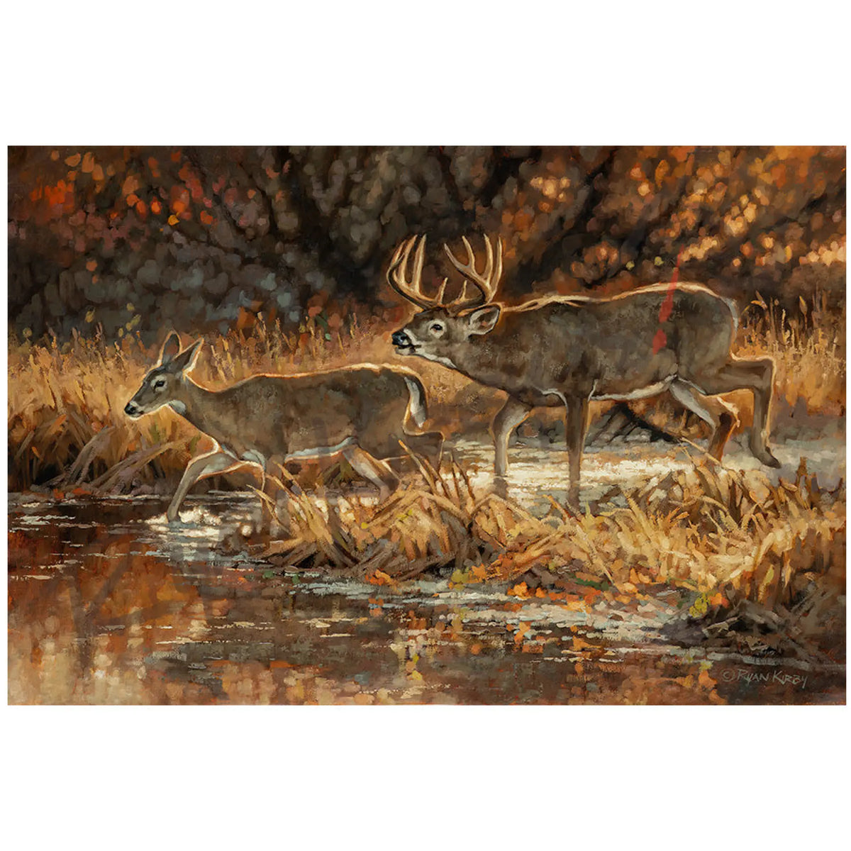 ’Anywhere With You’ White-Tailed Buck Original Oil Painting - Original Oil Painting