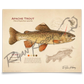 Apache Trout Fine Art Print - Sketch Paper Print