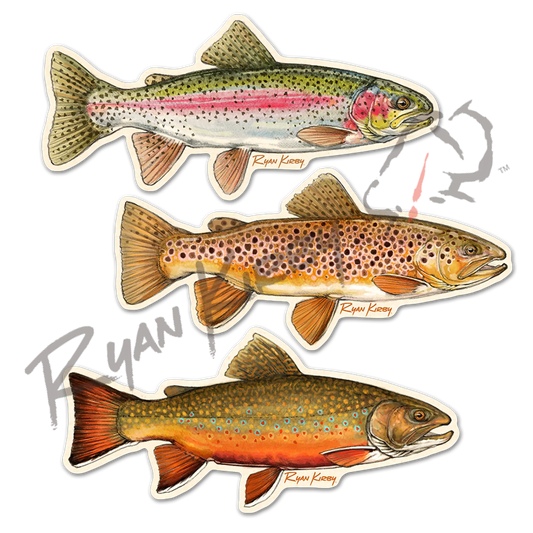 Appalachian Trout Decal 3-Pack – Brown Brook & Rainbow Trout - Apparel