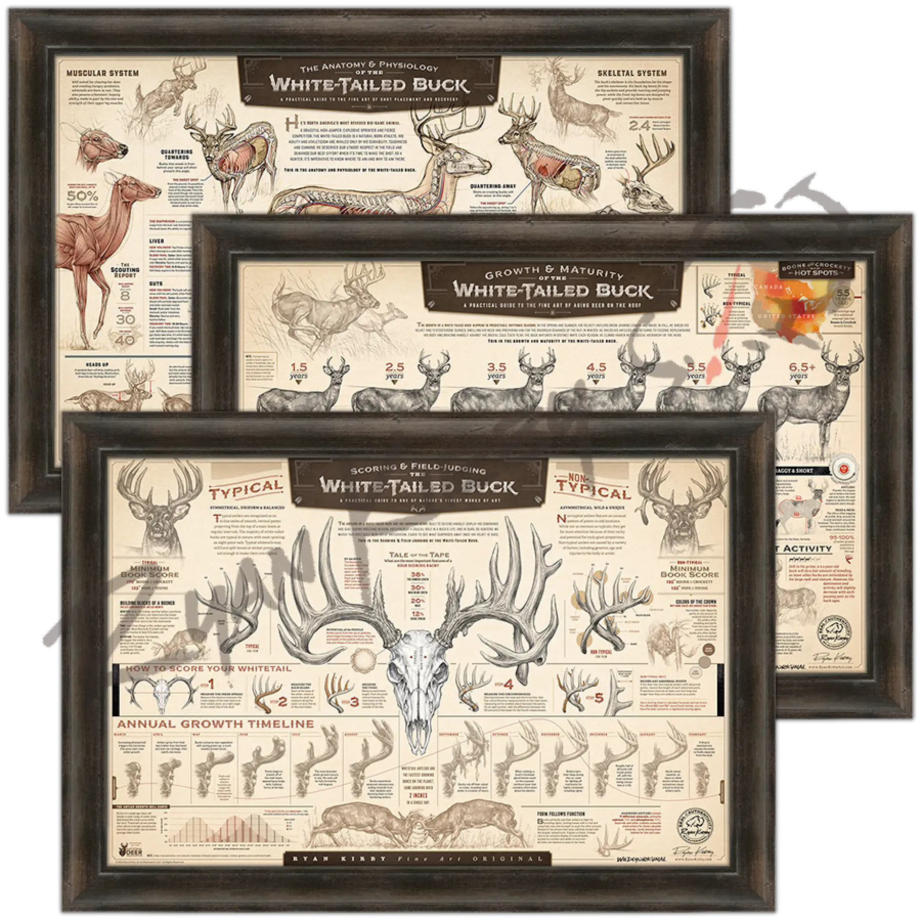 Art Of Hunting Bundle Espresso Walnut Paper Print