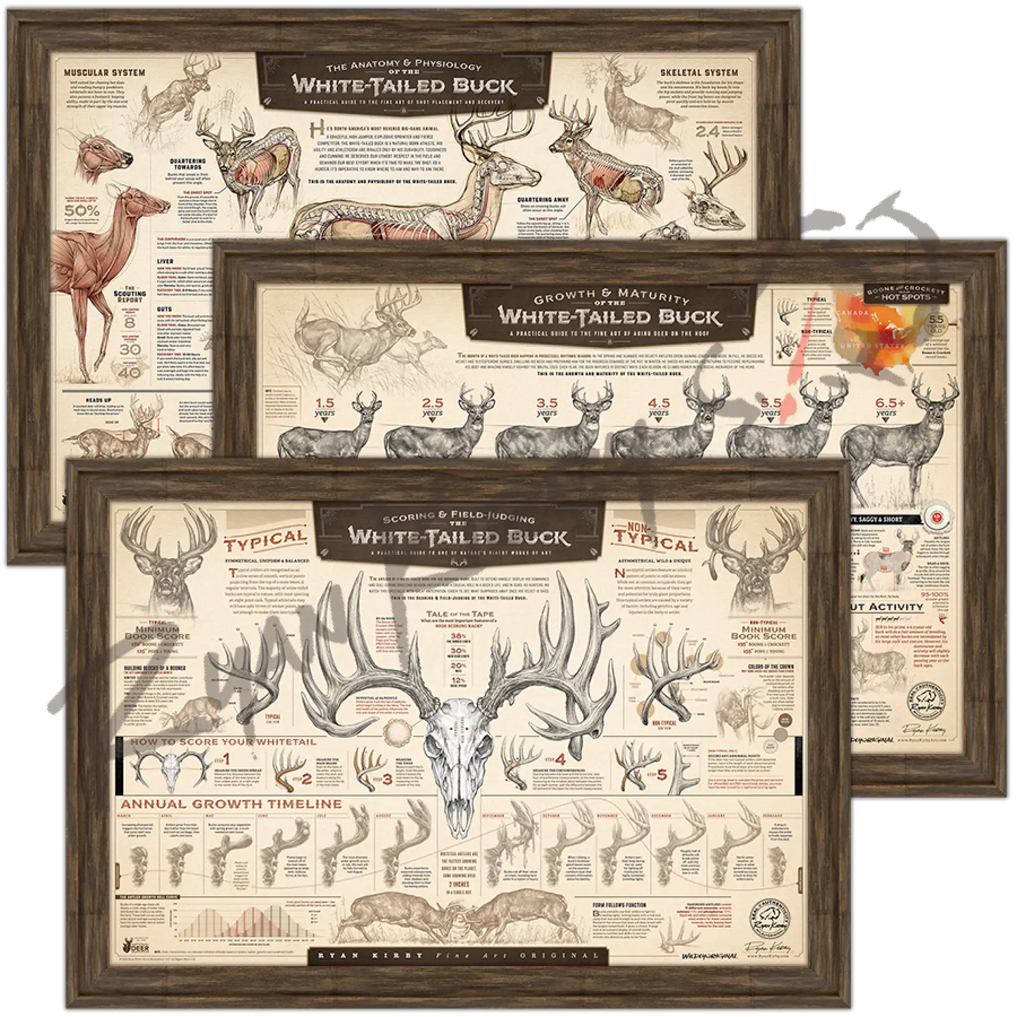 Art Of Hunting Bundle Timberland Paper Print