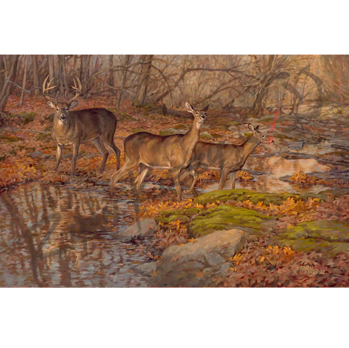 ’Autumn Reflections’ Original Oil Painting