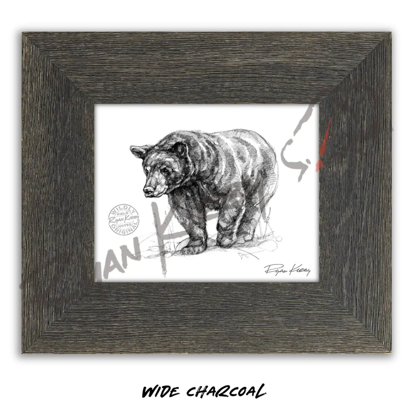 Black Bear Sketch Print Sketch Paper Print