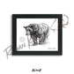 Black Bear Sketch Print Sketch Paper Print