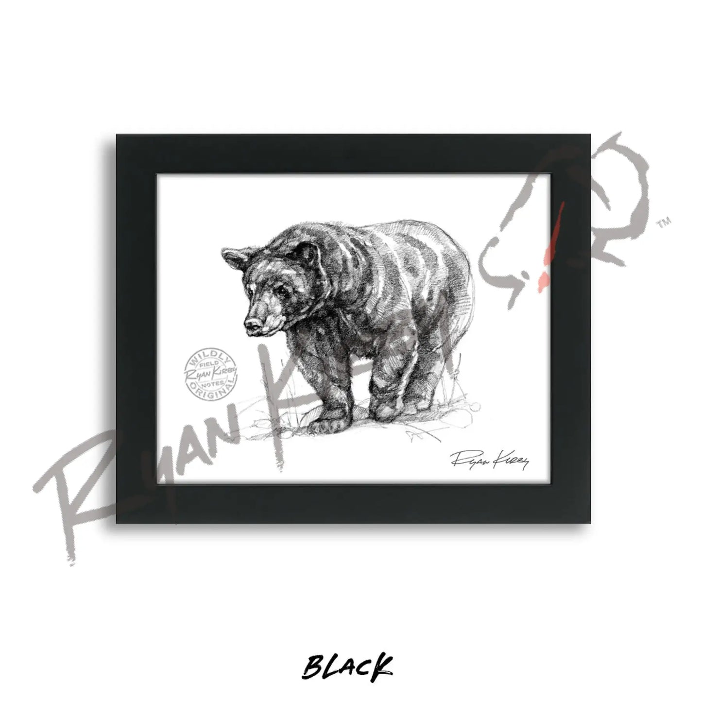 Black Bear Sketch Print Sketch Paper Print