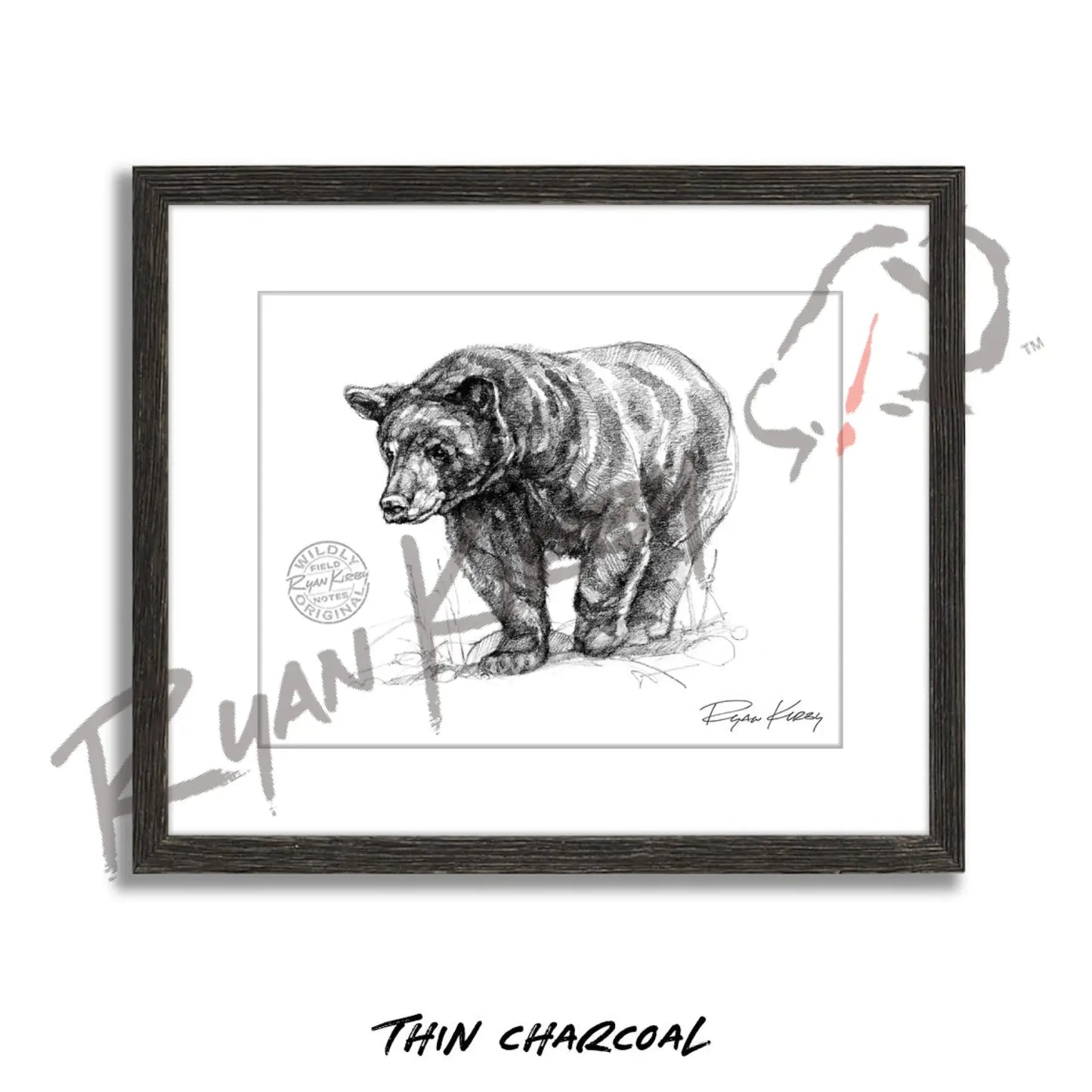 Black Bear Sketch Print Sketch Paper Print