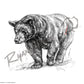 Black Bear Sketch Print Paper