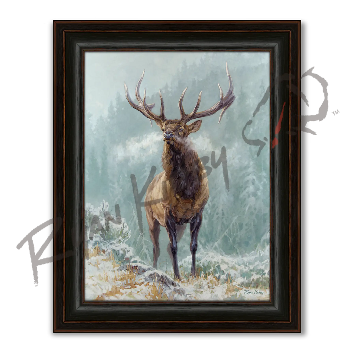 ’Blowing Smoke’ Bull Elk Canvas Art Print - Midnight Oak - Canvas Print