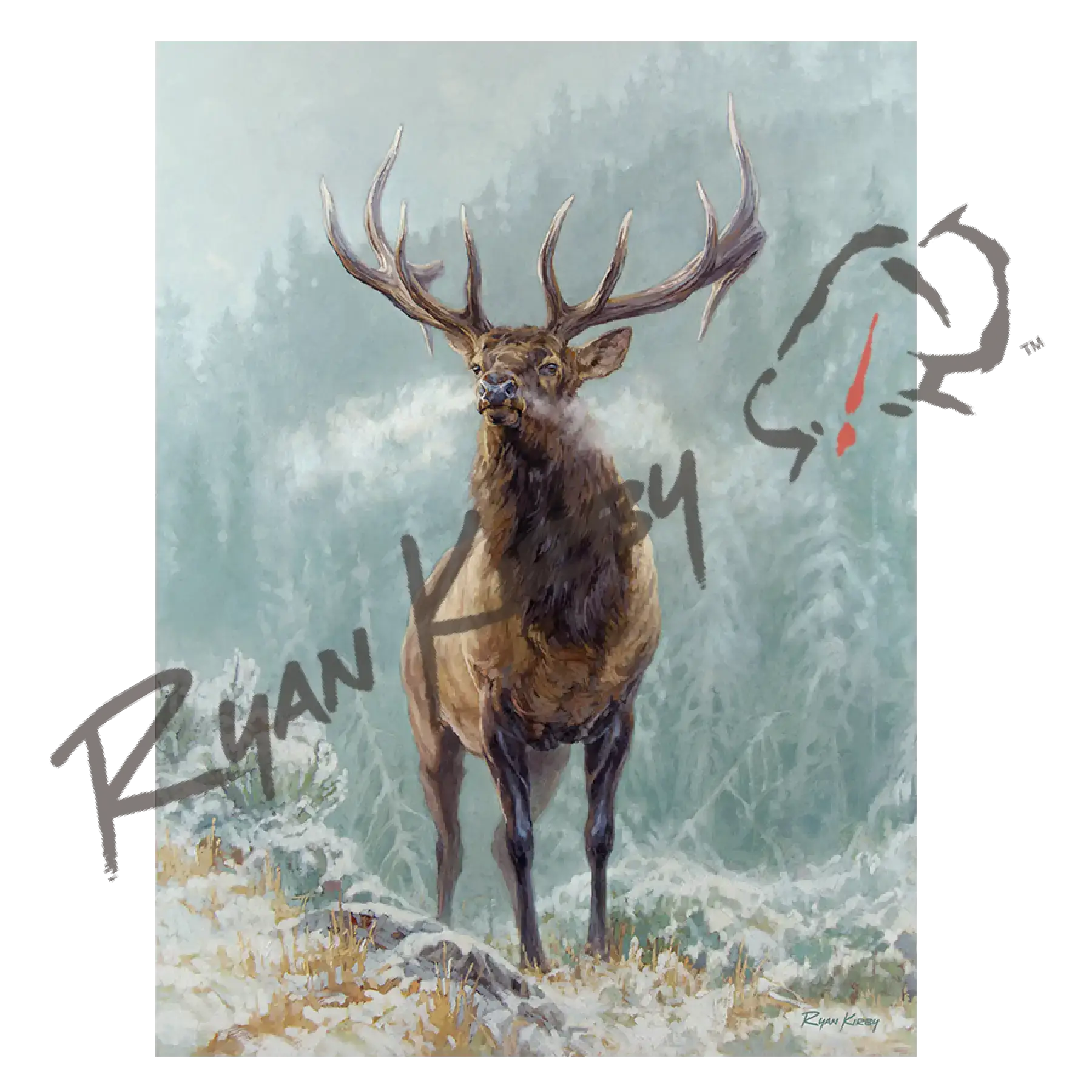 ’Blowing Smoke’ Bull Elk Canvas Art Print Unframed Rolled