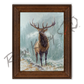 ’Blowing Smoke’ Bull Elk Canvas Art Print Reclaimed Chestnut 29’’ X 23’’