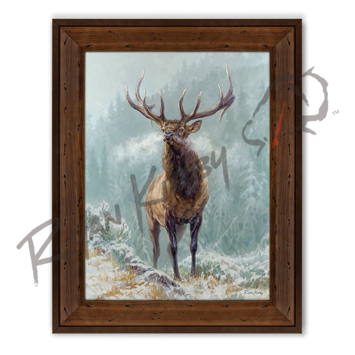 ’Blowing Smoke’ Bull Elk Canvas Art Print Reclaimed Chestnut 29’’ X 23’’