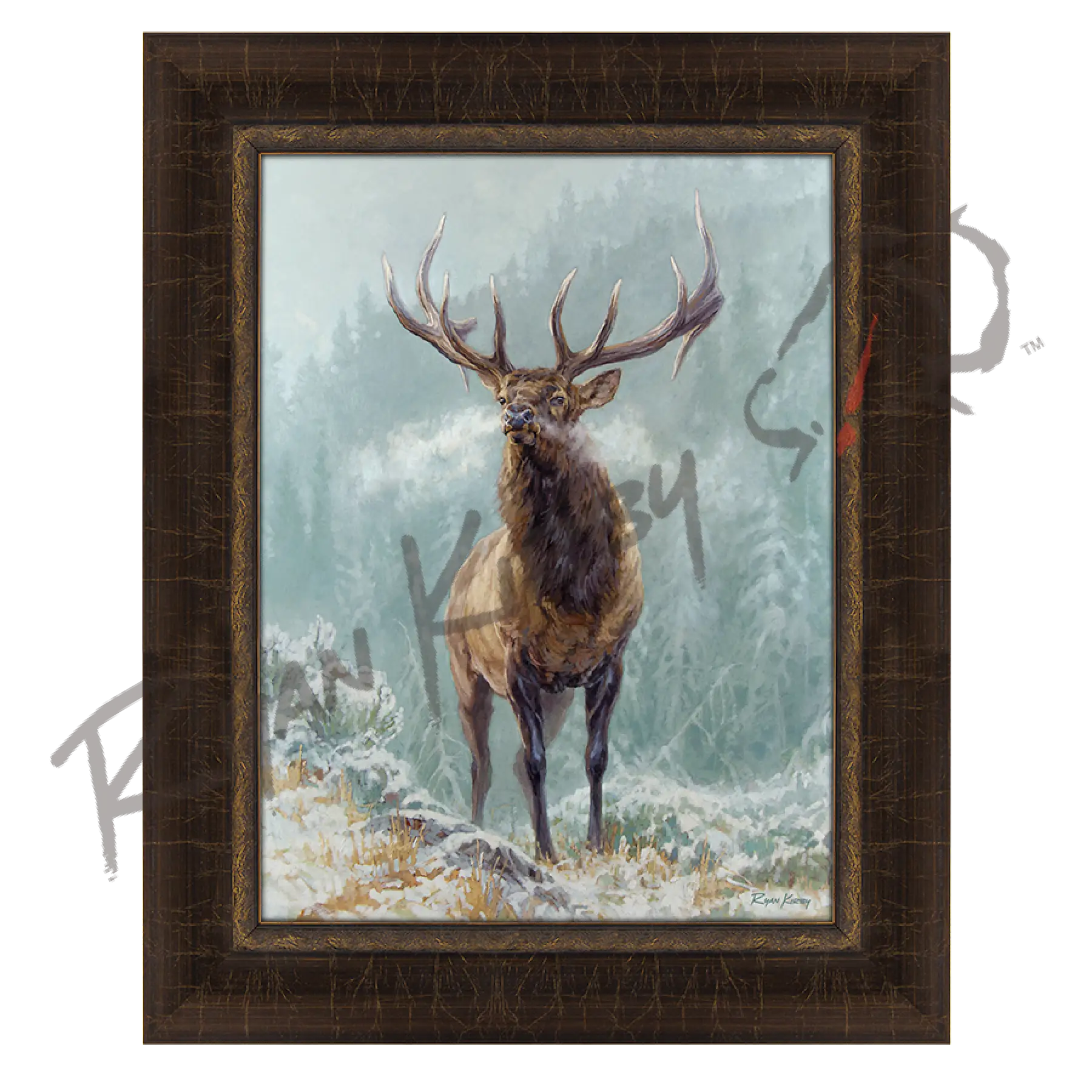 ’Blowing Smoke’ Bull Elk Canvas Art Print Riverside