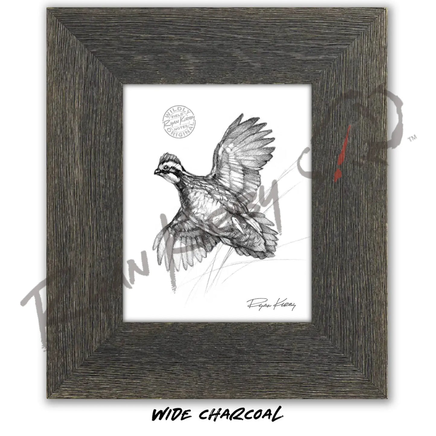Bobwhite Quail Sketch Print Sketch Paper Print