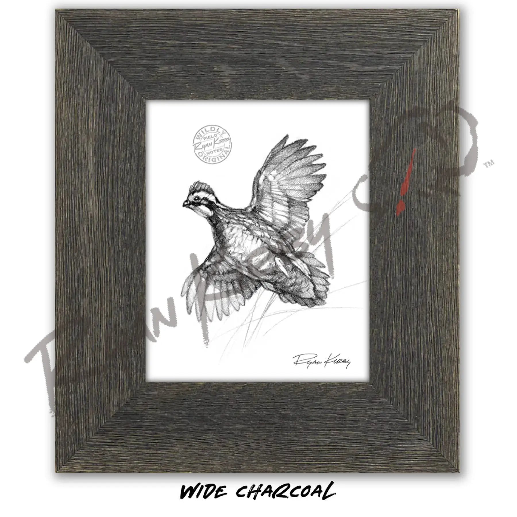 Bobwhite Quail Sketch Print Sketch Paper Print