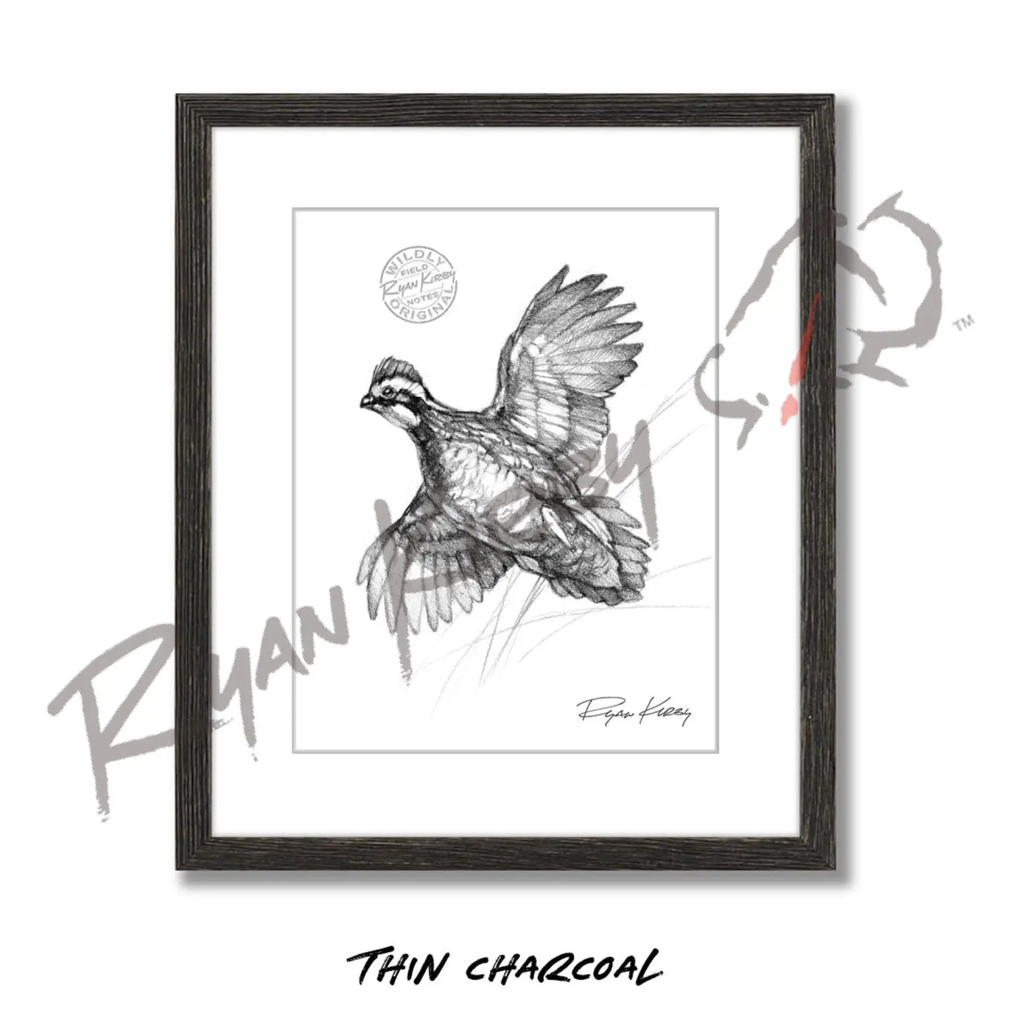 Bobwhite Quail Sketch Print Sketch Paper Print