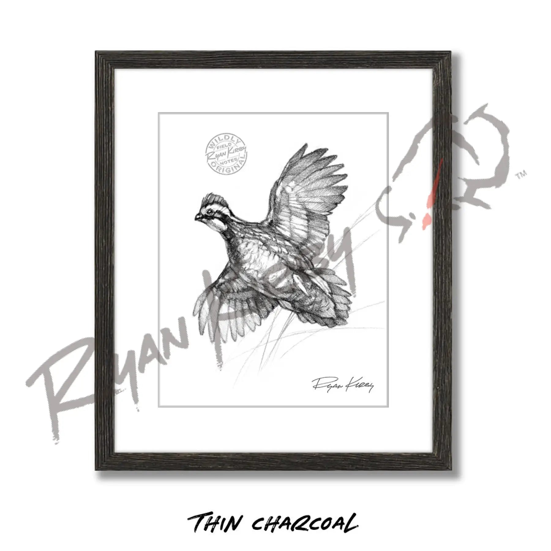 Bobwhite Quail Sketch Print Sketch Paper Print