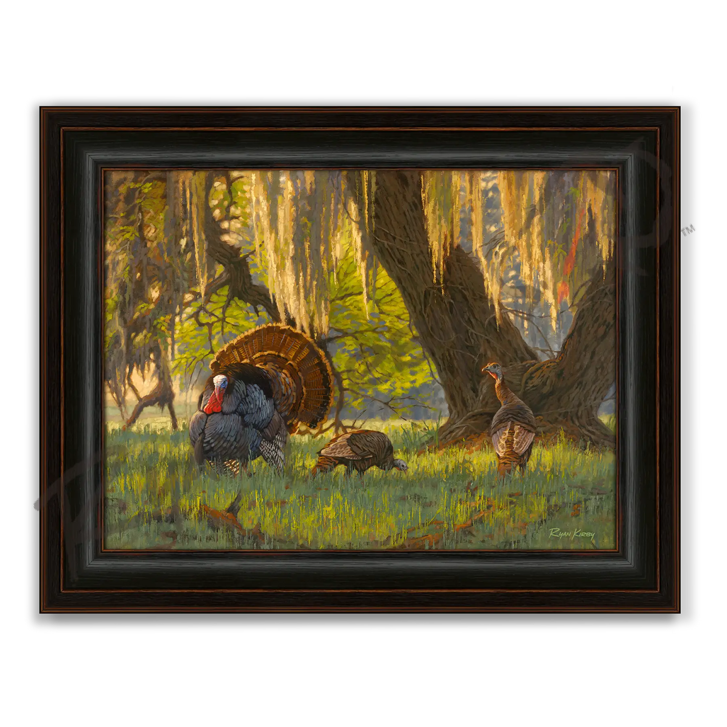 ’Boss of the Moss’ Wild Turkey Canvas Art Print - Midnight Oak - Canvas Print