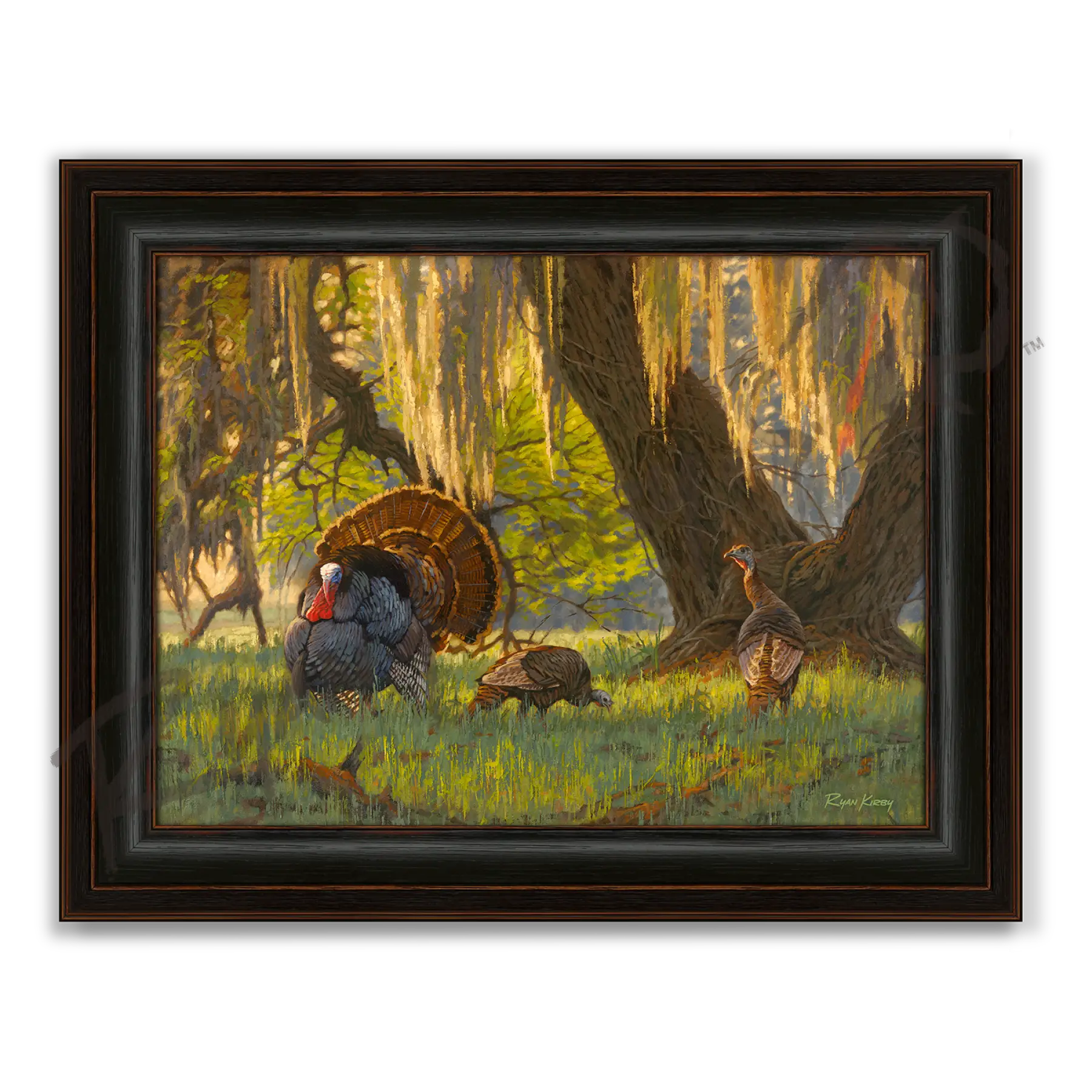’Boss of the Moss’ Wild Turkey Canvas Art Print - Midnight Oak - Canvas Print