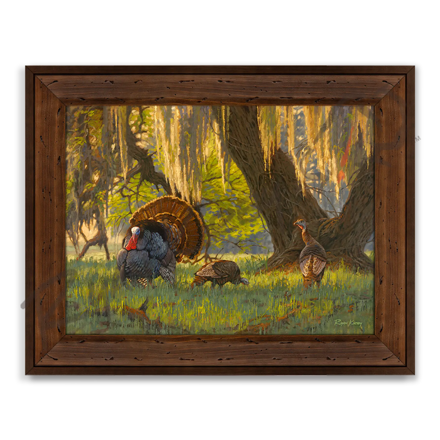 ’Boss Of The Moss’ Wild Turkey Canvas Art Print Reclaimed Chestnut