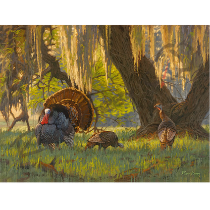 ’Boss Of The Moss’ Wild Turkey Canvas Art Print Unframed Rolled