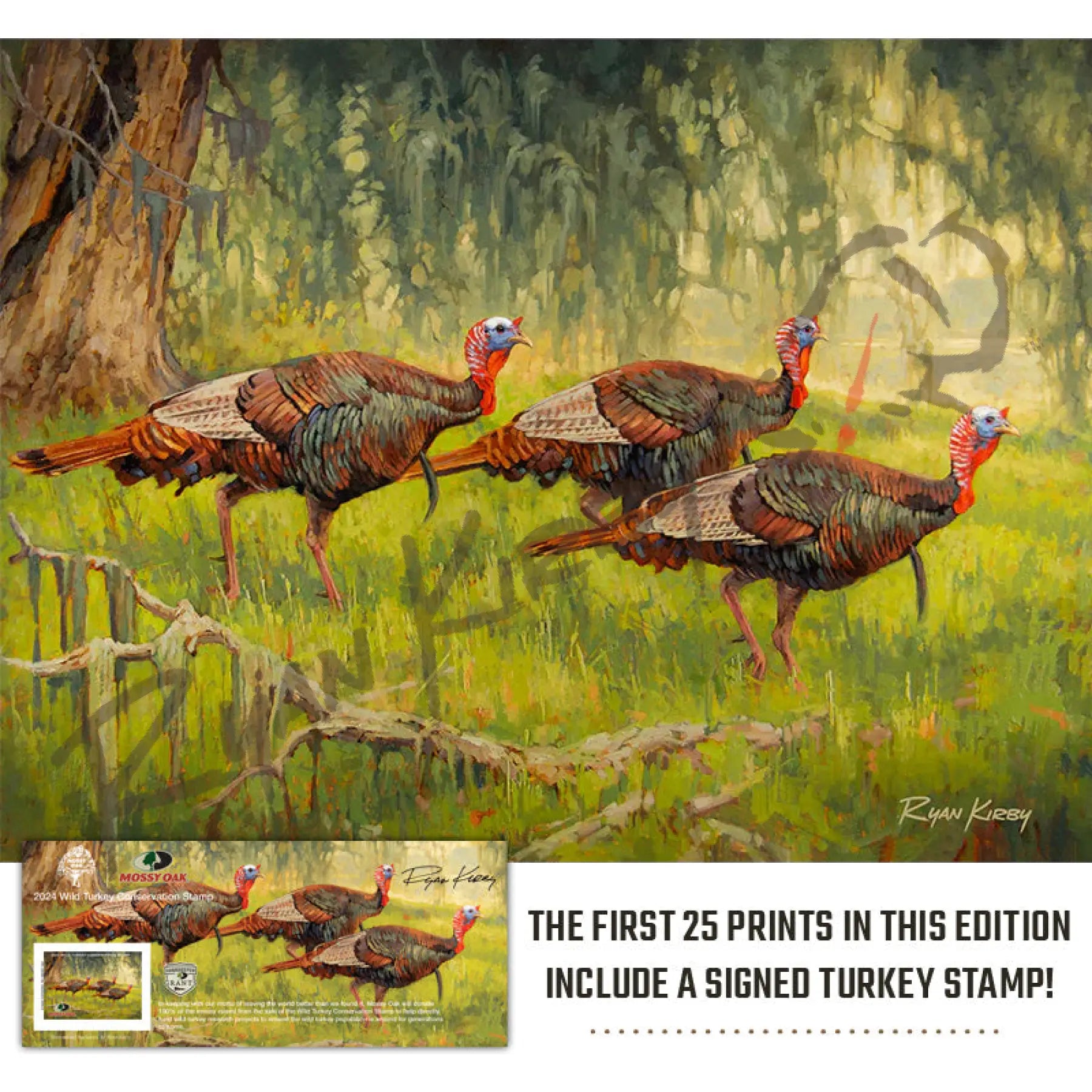 ’Bottomland Bachelors’ Wild Turkey Canvas Art Print With Signed Mossy Oak Stamp Unframed Rolled