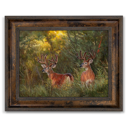 ’Boys Night Out’ White-Tailed Deer Canvas Art Print Classic Bronze