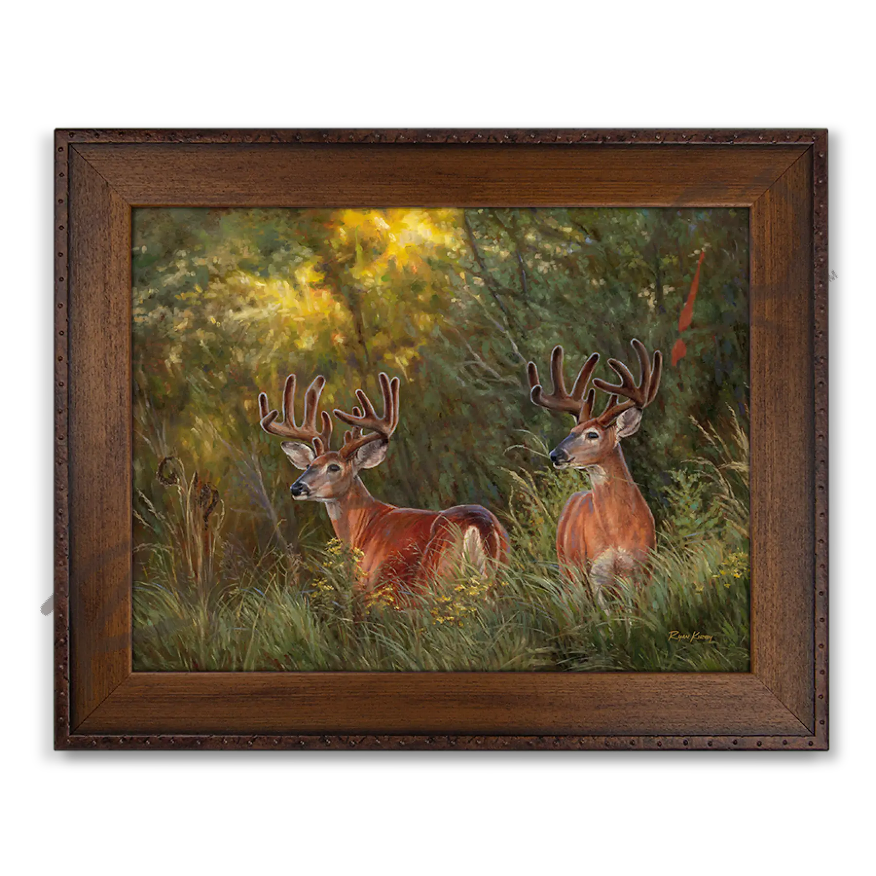 ’Boys Night Out’ White-Tailed Deer Canvas Art Print Copper Barrel