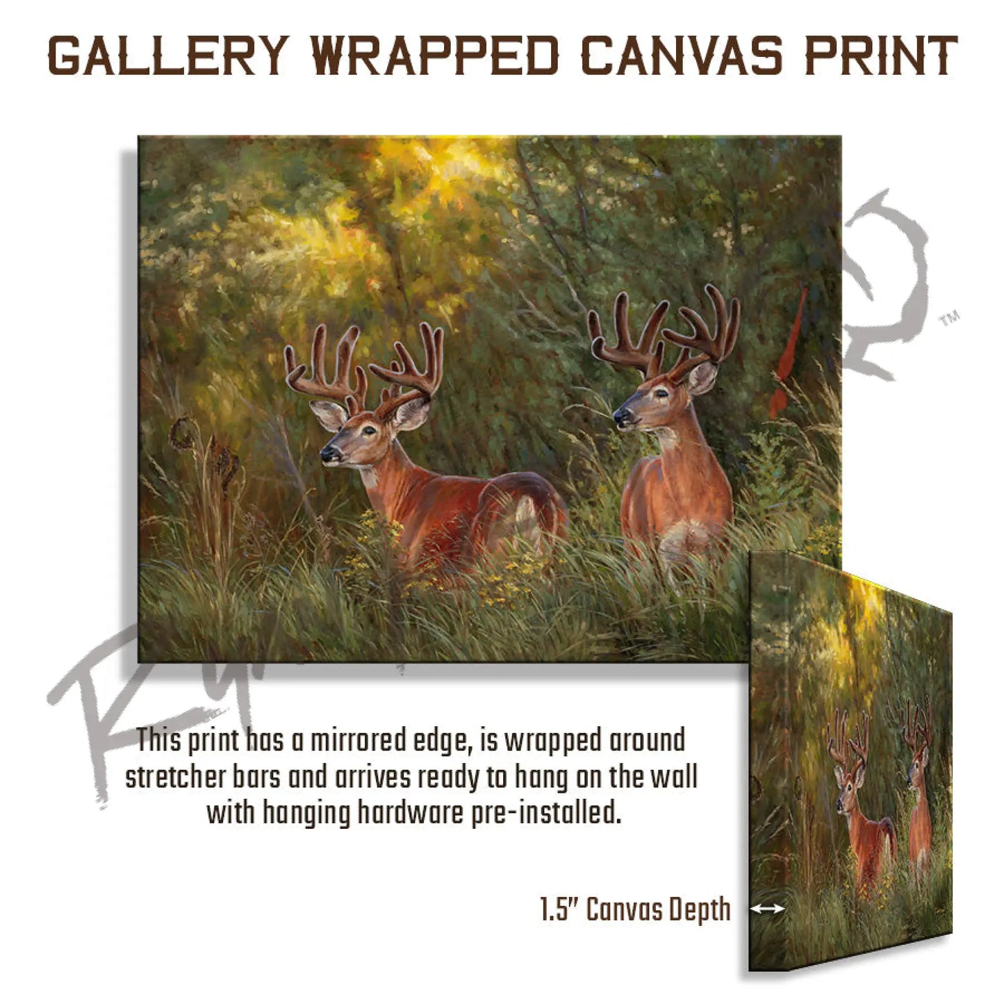 ’Boys Night Out’ White-Tailed Deer Canvas Art Print Gallery Wrapped