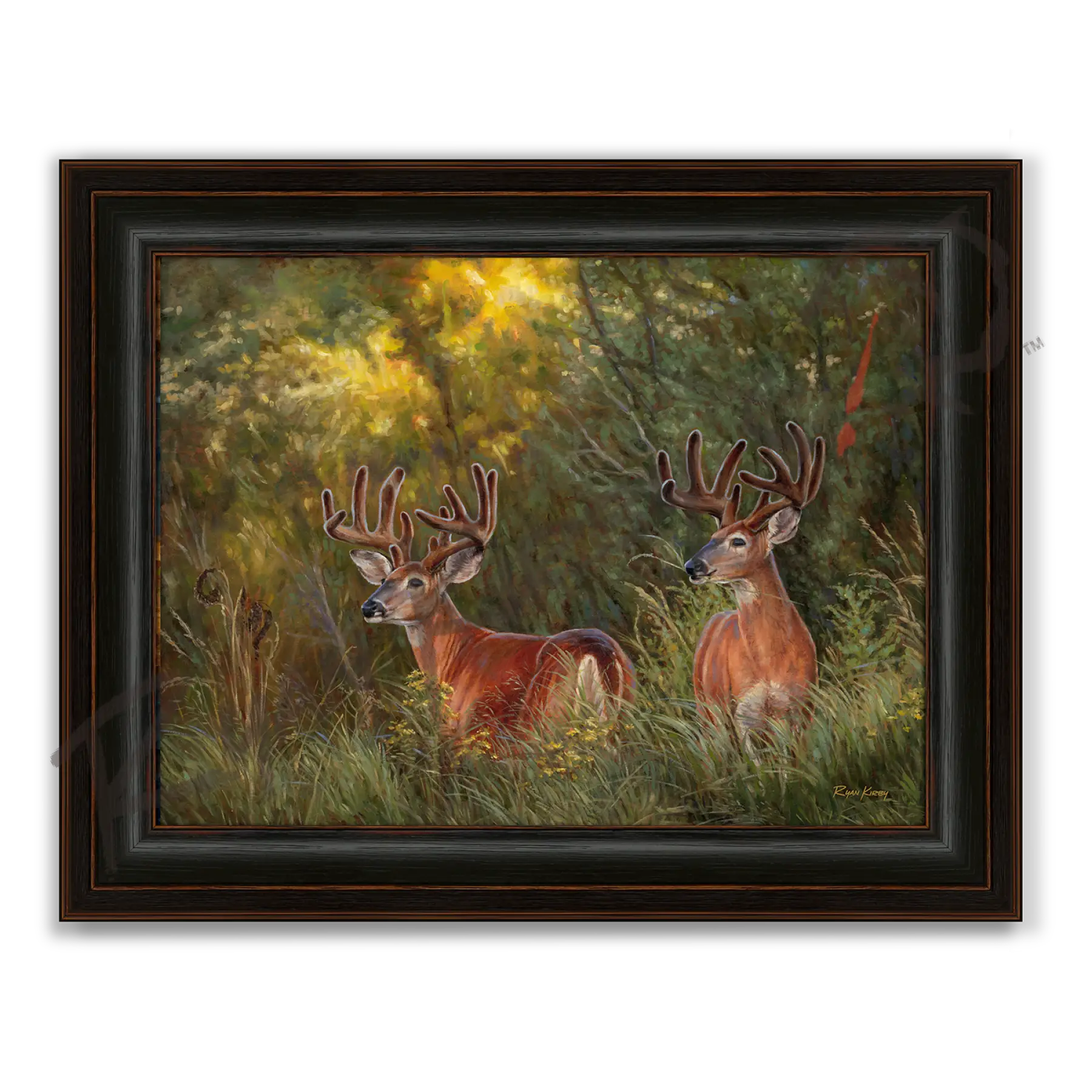 ’Boys Night Out’ White-tailed Deer Canvas Art Print - Midnight Oak - Canvas Print