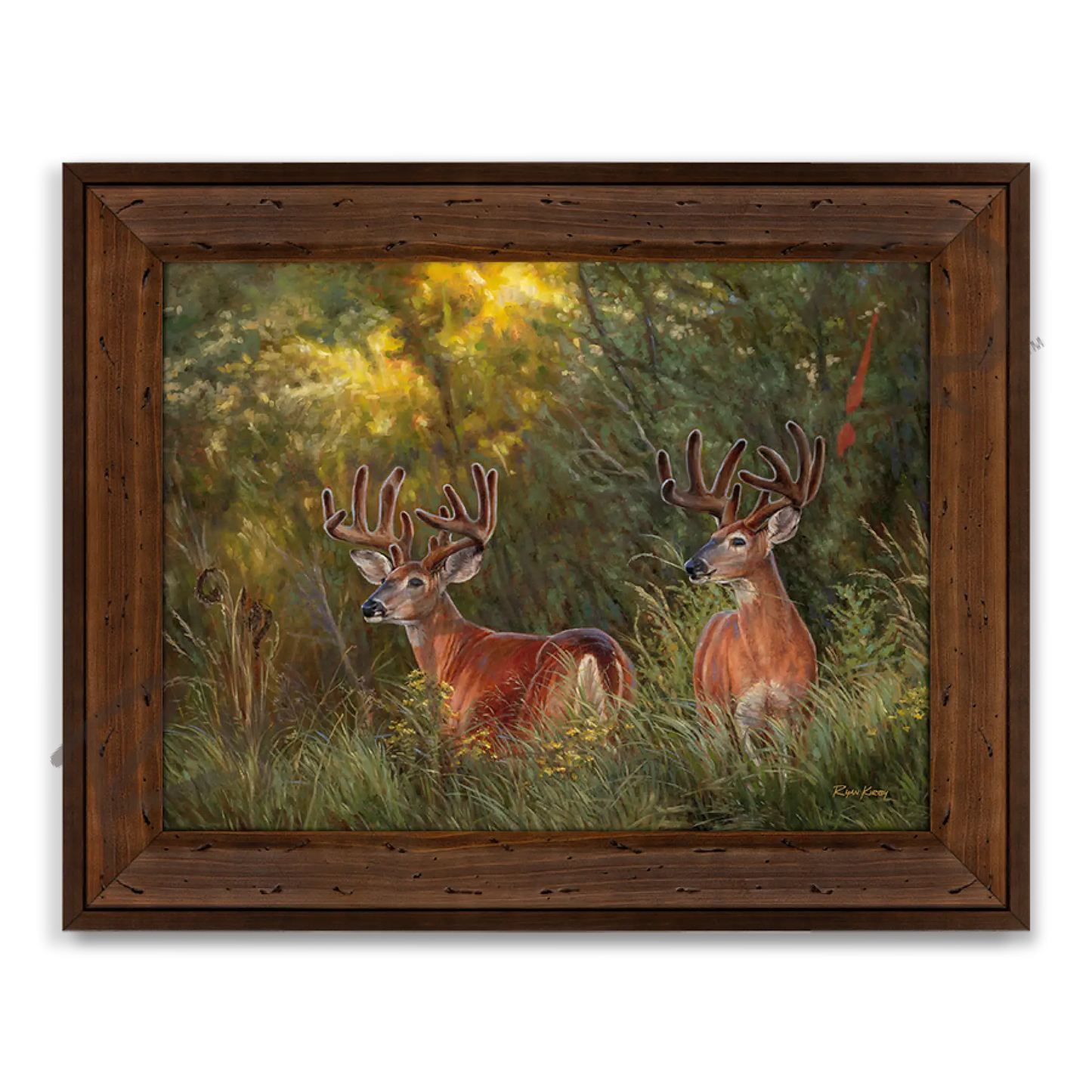 ’Boys Night Out’ White-Tailed Deer Canvas Art Print Reclaimed Chestnut