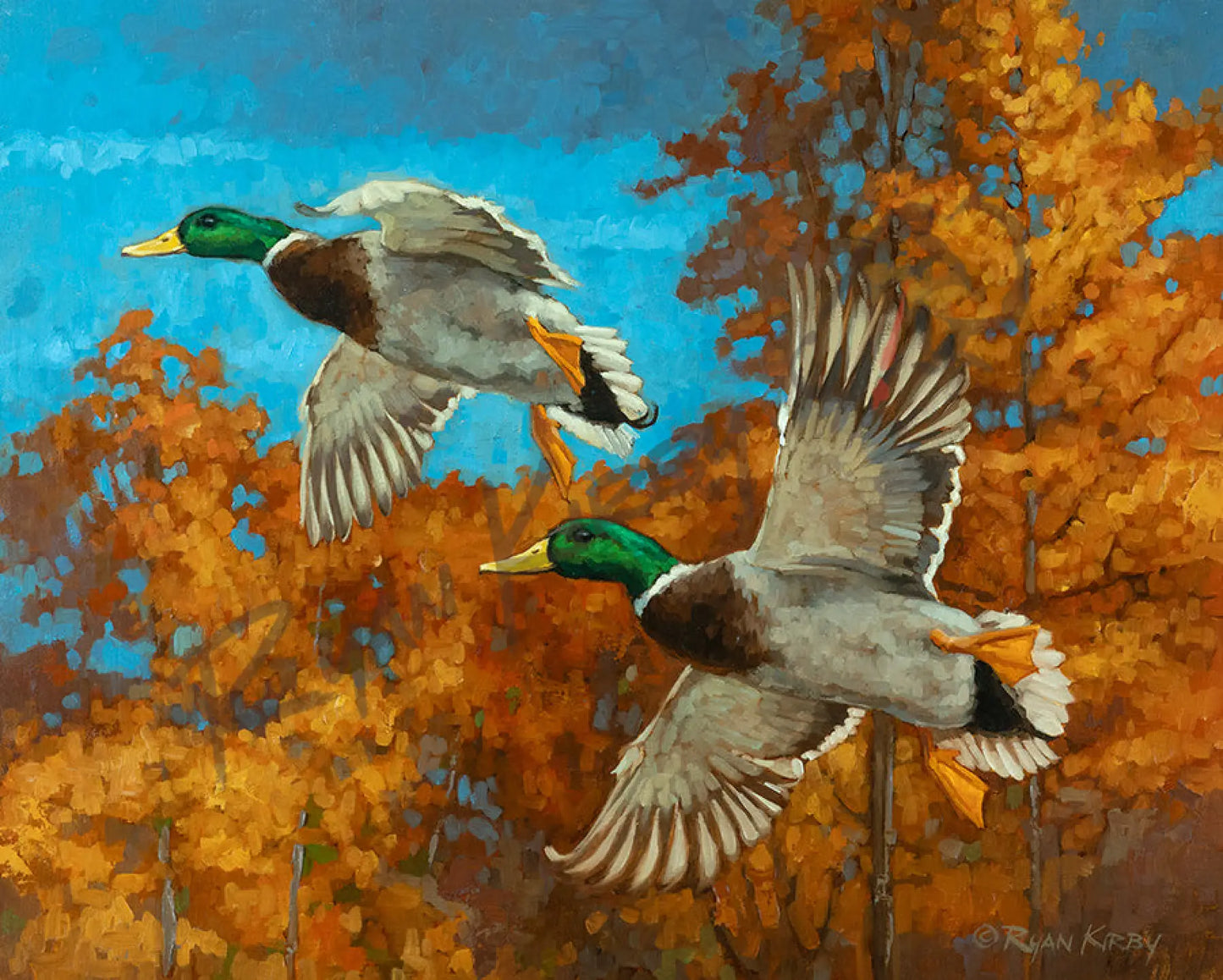 ’Boys of Fall’ Original Oil Painting of Mallard Drakes - Original Oil Painting