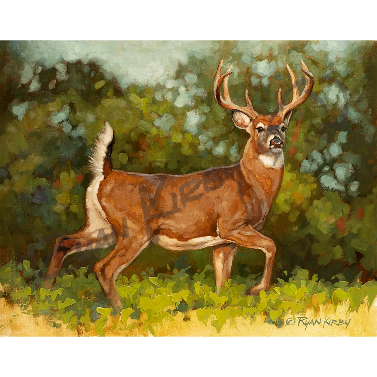 ’Brassica Buck’ White-Tail Buck Original Oil Painting - Original Oil Painting