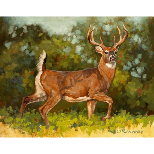 ’Brassica Buck’ White-Tail Buck Original Oil Painting - Original Oil Painting