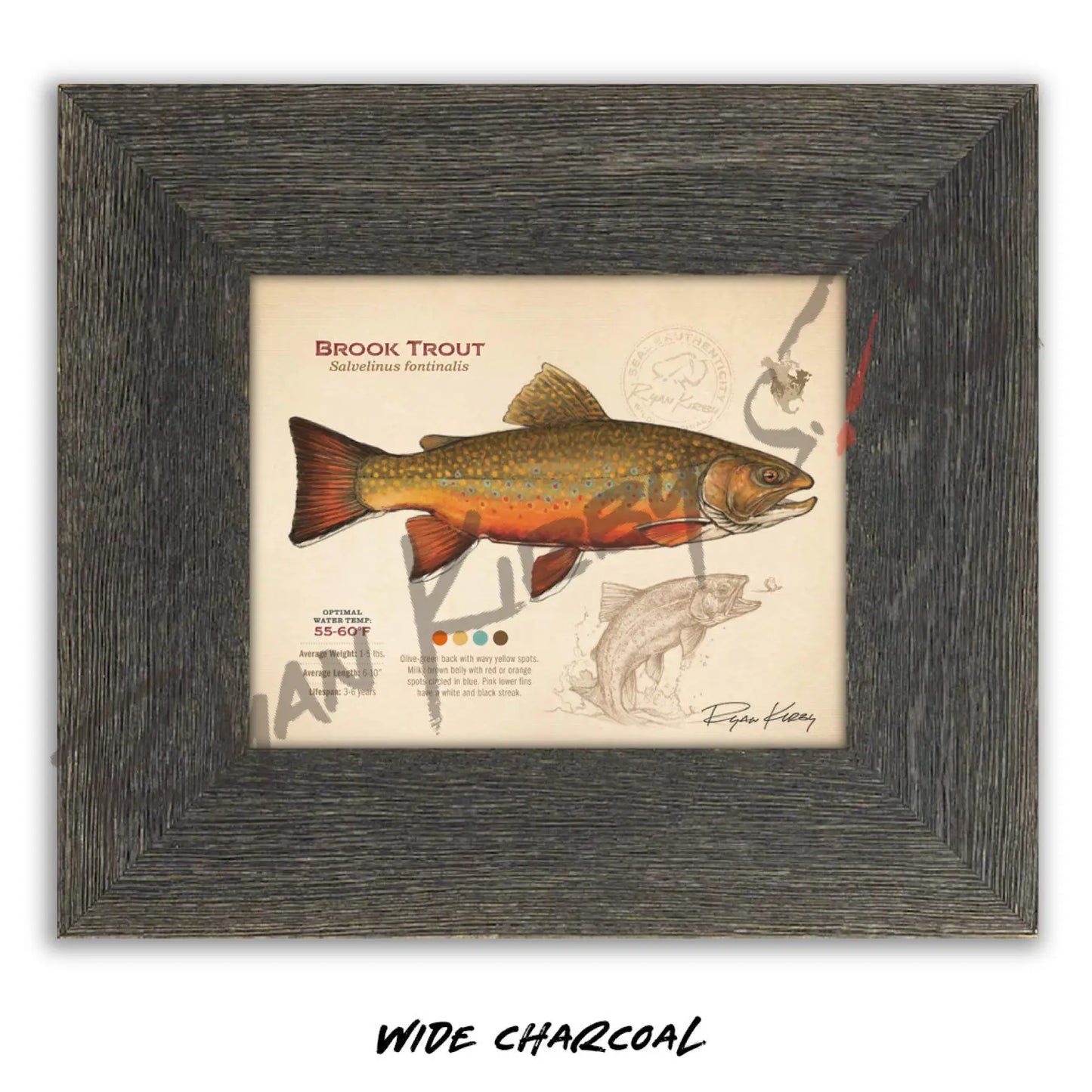 Brook Trout Fine Art Print - Sketch Paper Print