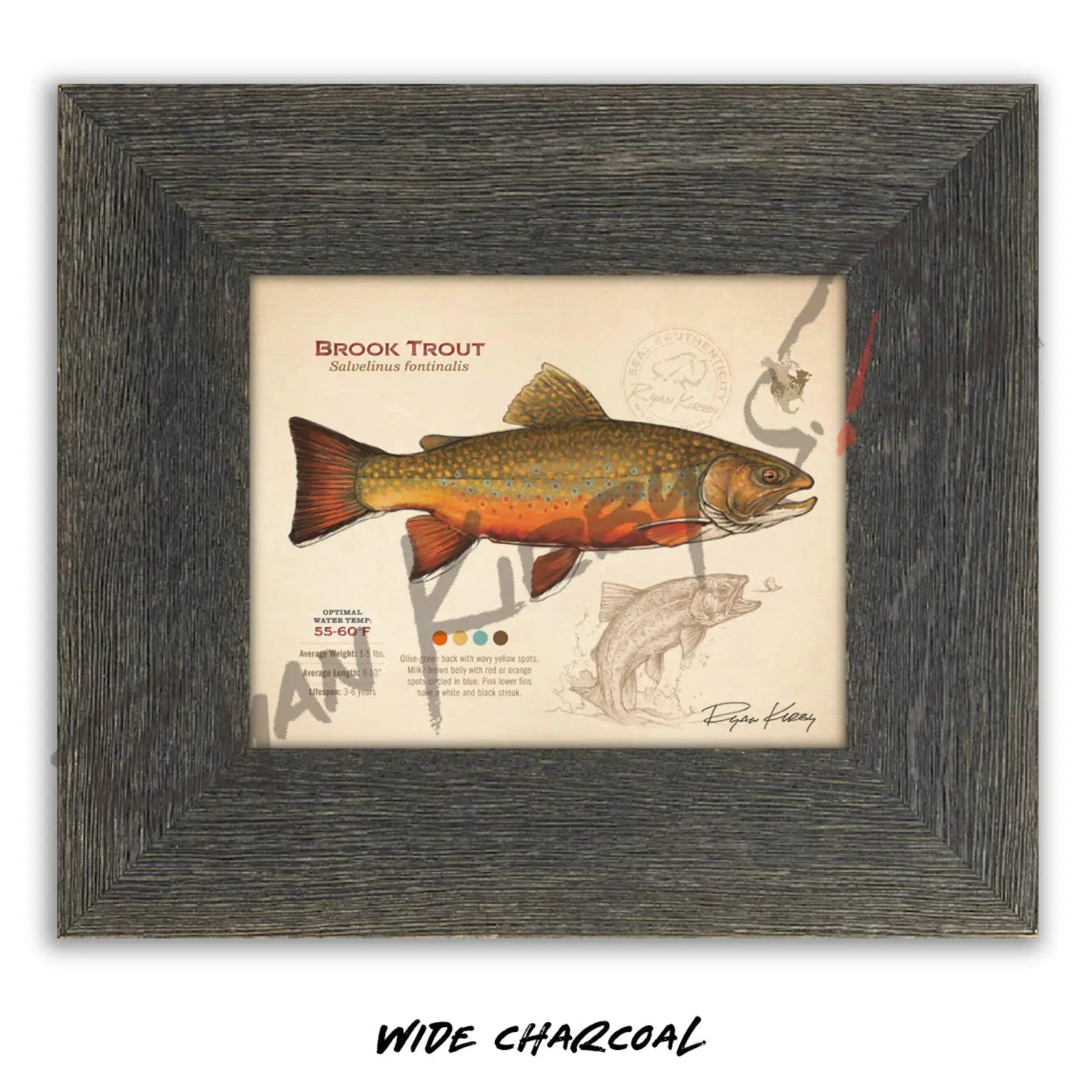 Brook Trout Fine Art Print - Sketch Paper Print