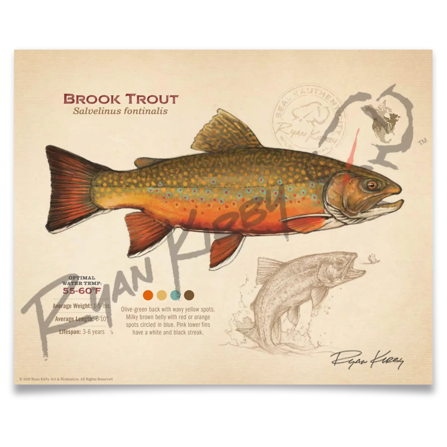 Brook Trout Fine Art Print - Sketch Paper Print