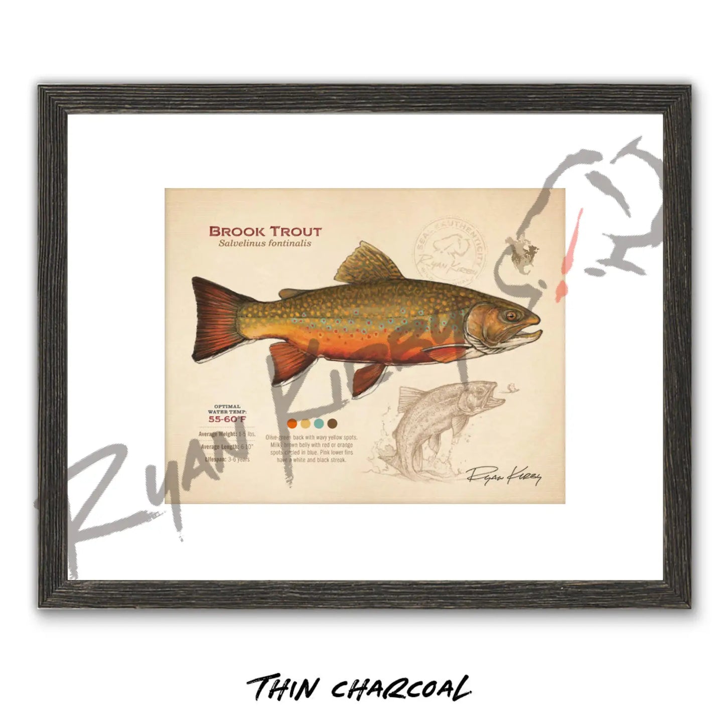 Brook Trout Fine Art Print - Sketch Paper Print