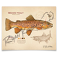 Brown Trout Fine Art Print - Fly Fishing Wall Art (8’’x10’’) - Sketch Paper Print