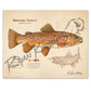 Brown Trout Fine Art Print - Fly Fishing Wall Art (8’’x10’’) - Sketch Paper Print