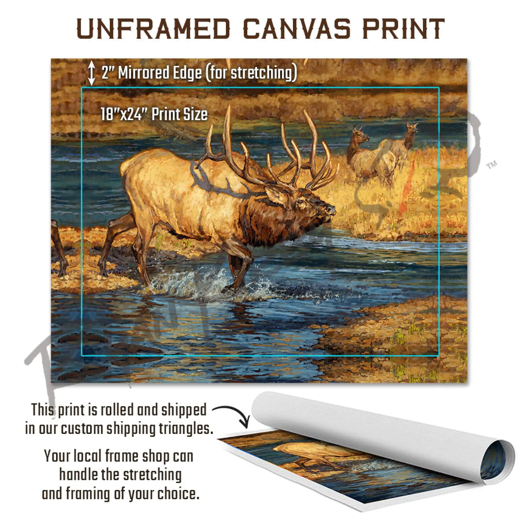 ’Crossing Guard’ Bull Elk Canvas Art Print