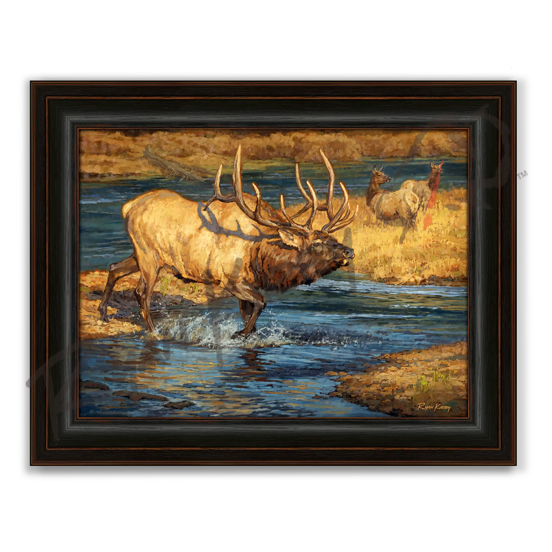 ’Crossing Guard’ Bull Elk Canvas Art Print - Midnight Oak - Canvas Print