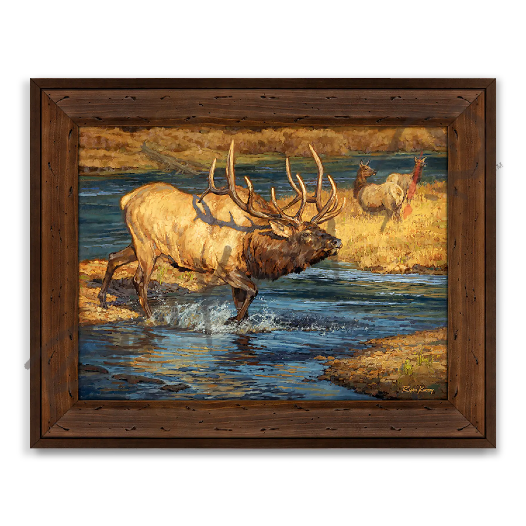 ’Crossing Guard’ Bull Elk Canvas Art Print Reclaimed Chestnut