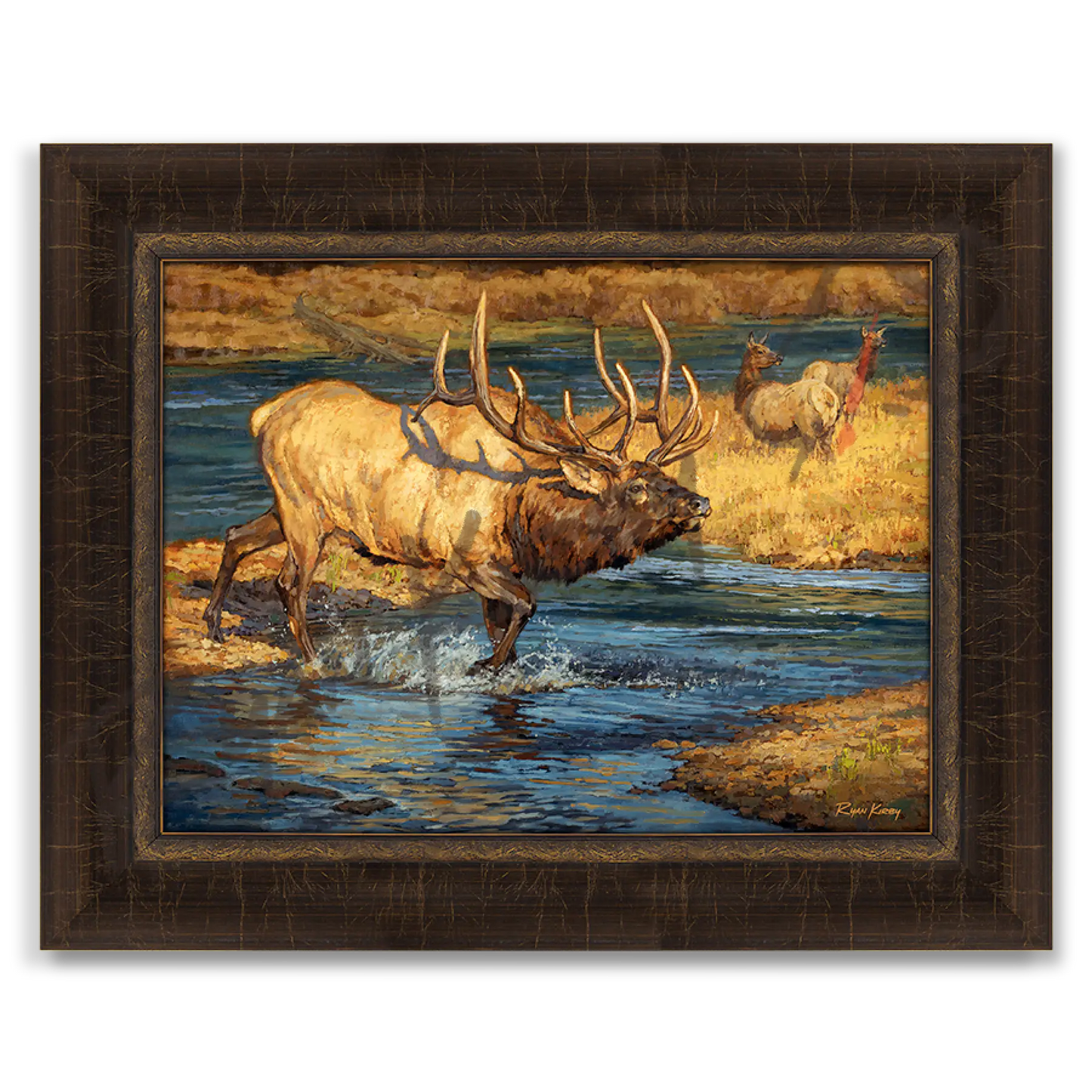 ’Crossing Guard’ Bull Elk Canvas Art Print Riverside