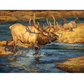 ’Crossing Guard’ Bull Elk Canvas Art Print Unframed Rolled