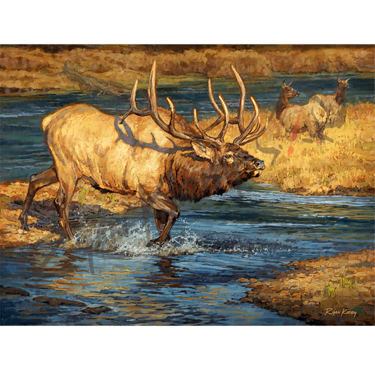 ’Crossing Guard’ Bull Elk Canvas Art Print Unframed Rolled