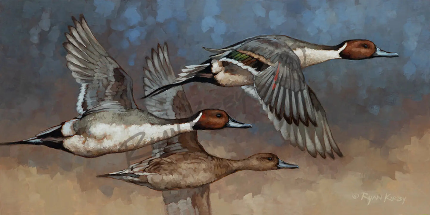 ’Cruising Altitude’ Original Oil Painting of Flying Pintail Ducks - Original Oil Painting