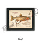 Cutthroat Trout Fine Art Print - Sketch Paper Print