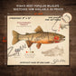 Cutthroat Trout Fine Art Print - Sketch Paper Print