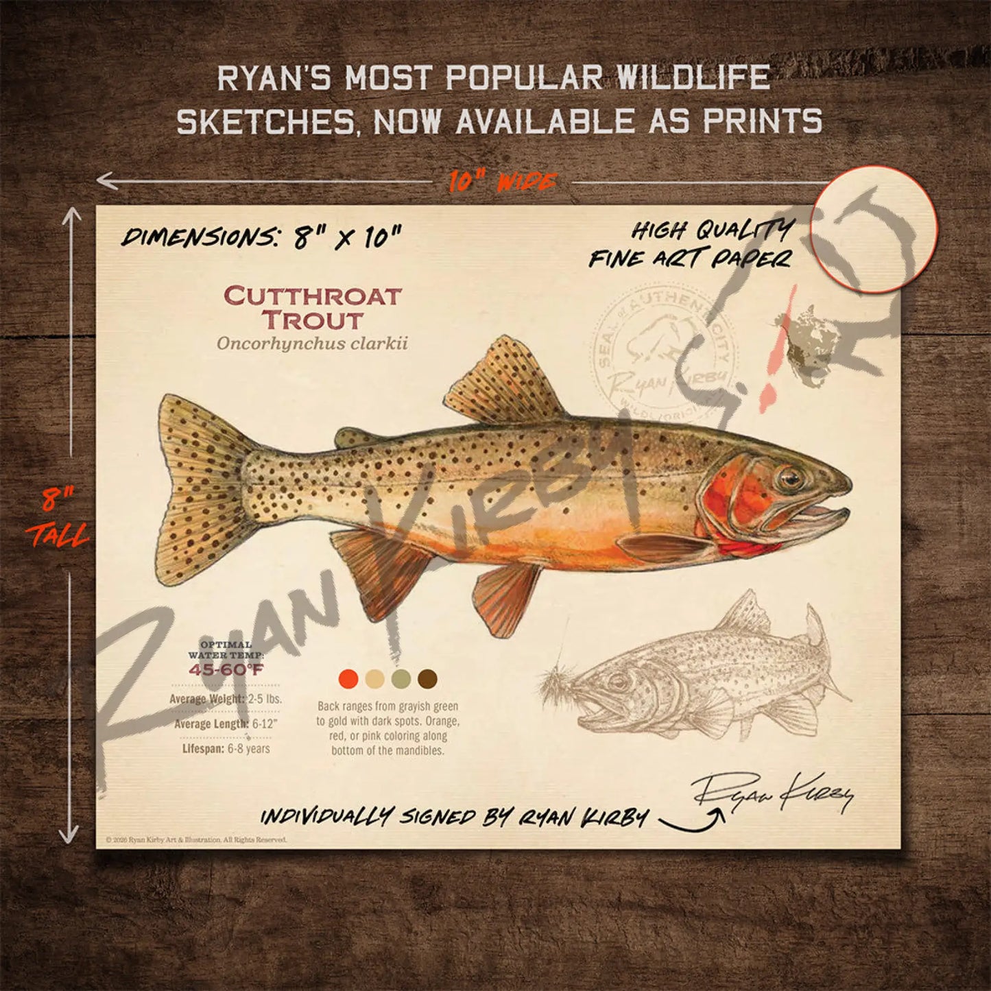 Cutthroat Trout Fine Art Print - Sketch Paper Print