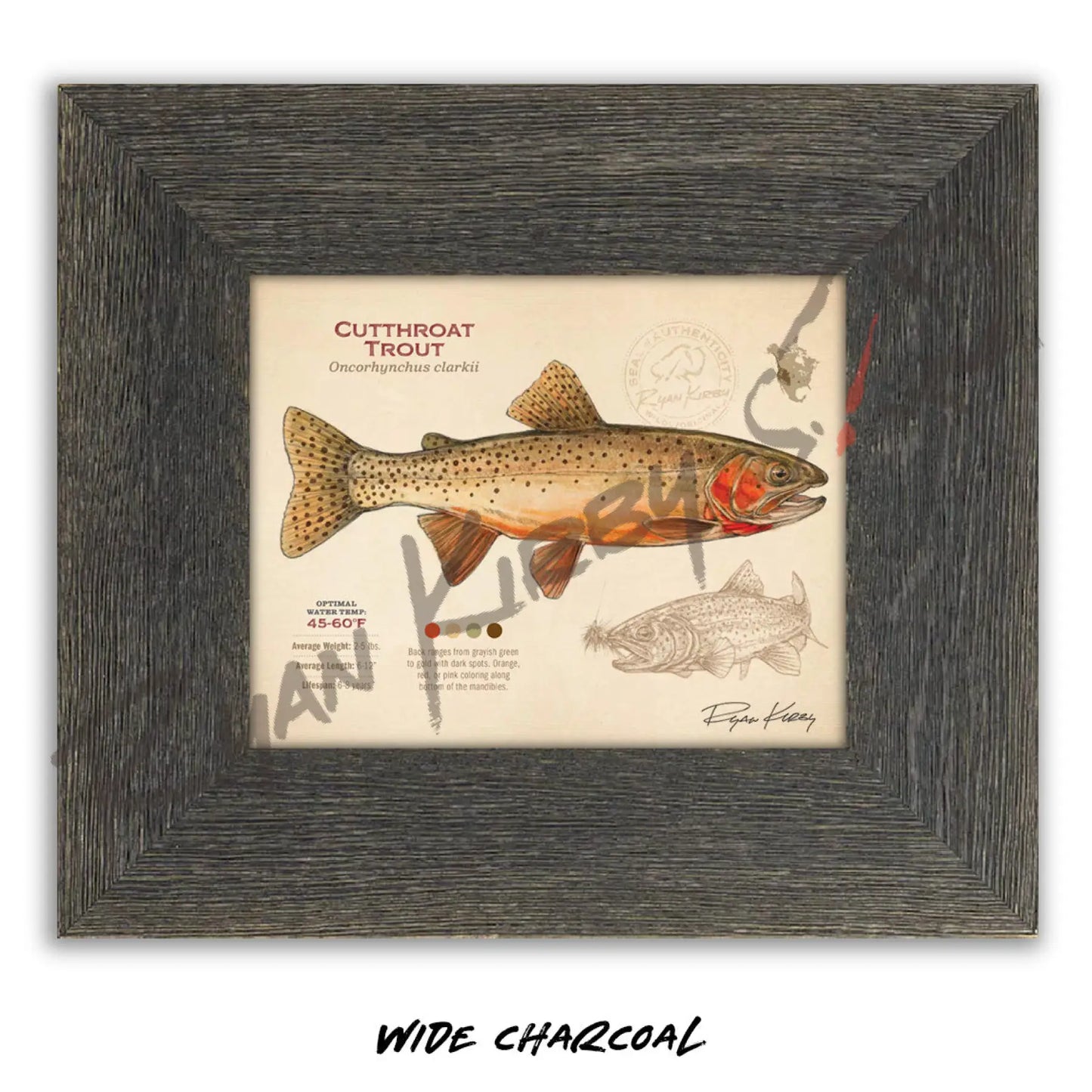 Cutthroat Trout Fine Art Print - Sketch Paper Print